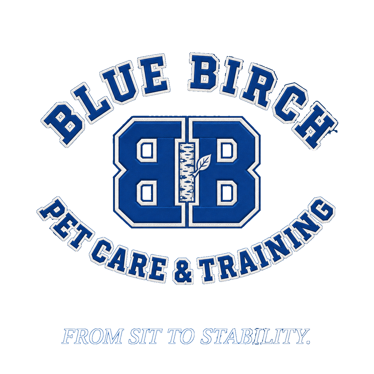 Blue Birch Pet Care & Training — From Sit to Stability